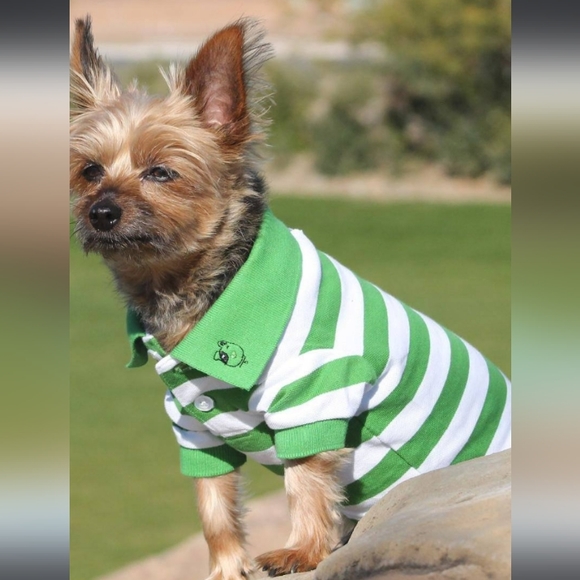 GREEN STRIPED POLO DOG SHIRT - Picture 1 of 6
